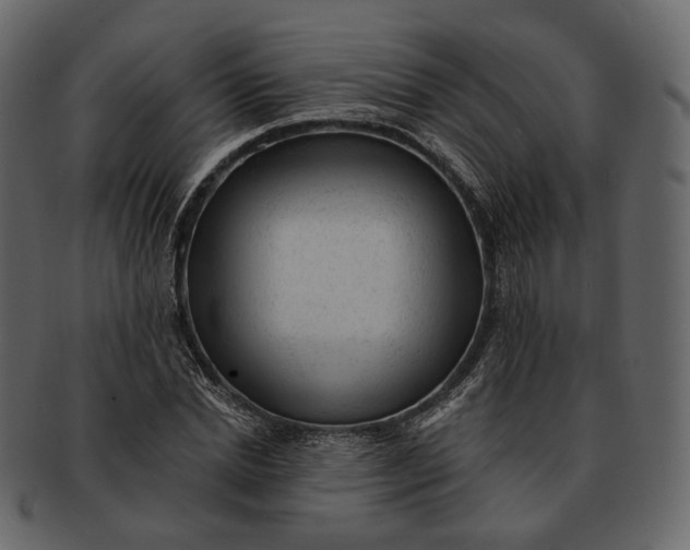 X0000092300830200710051219