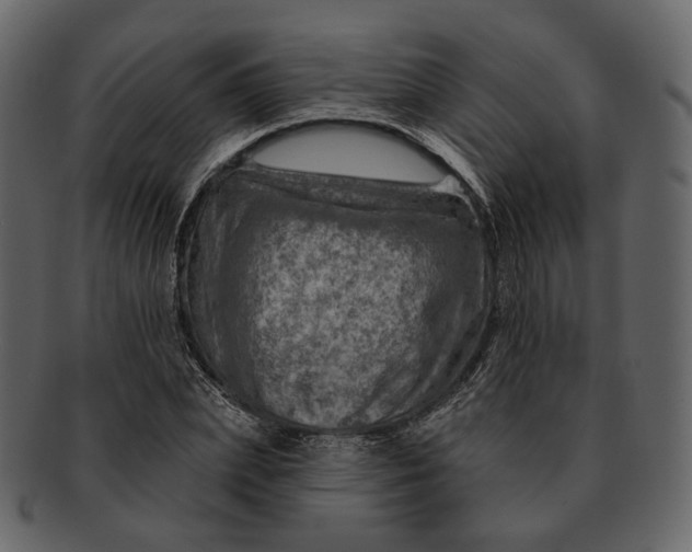 X0000092300831200710051219