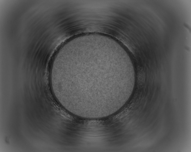 X0000092300832200710051219