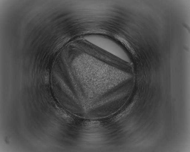 X0000092300833200710051219