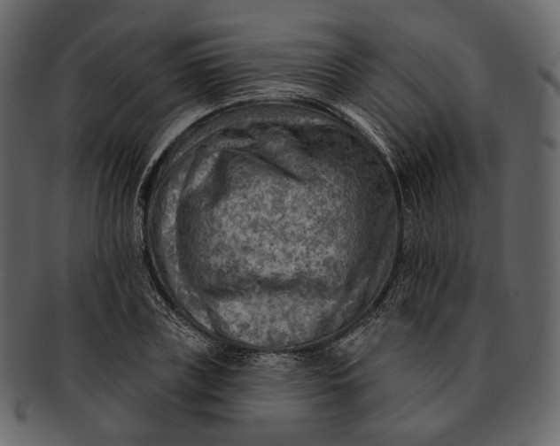 X0000092300835200710051219