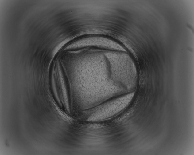 X0000092300837200710051219