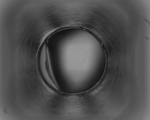 X0000092300838200710051219