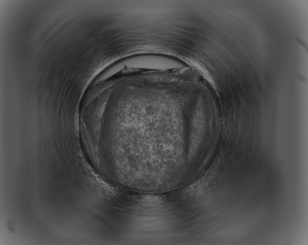 X0000092300839200710051219