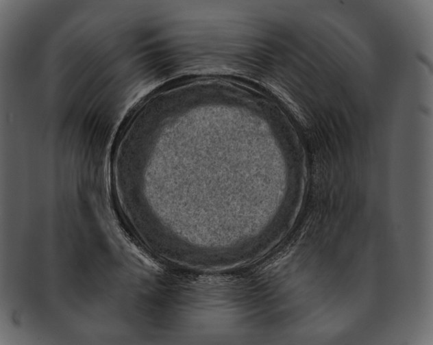 X0000092300840200710051219