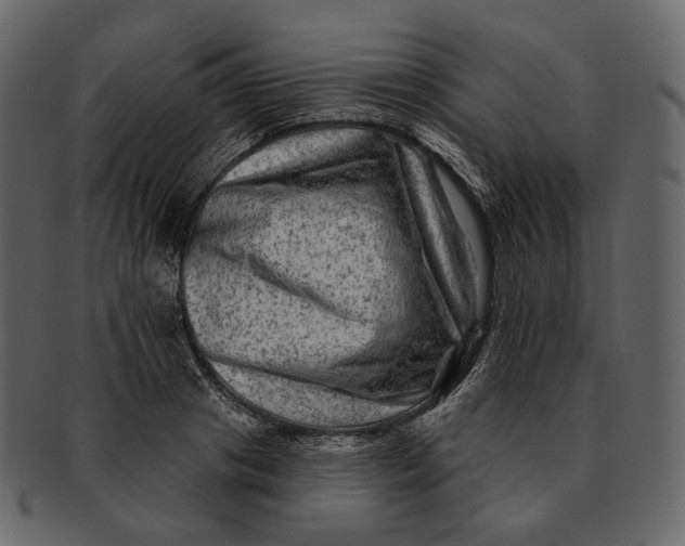 X0000092300841200710051219