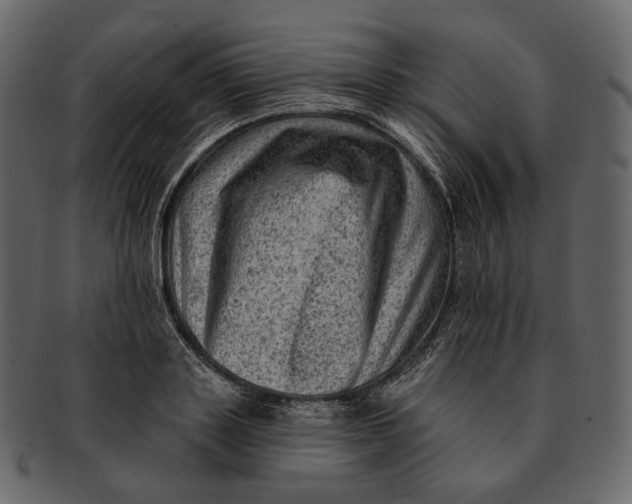 X0000092300843200710051219