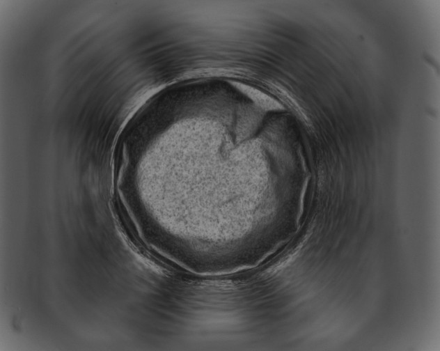 X0000092300844200710051219