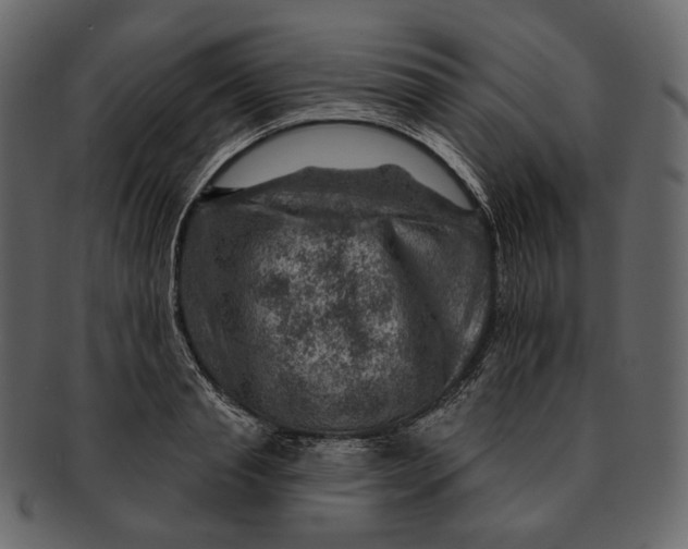 X0000092300845200710051219