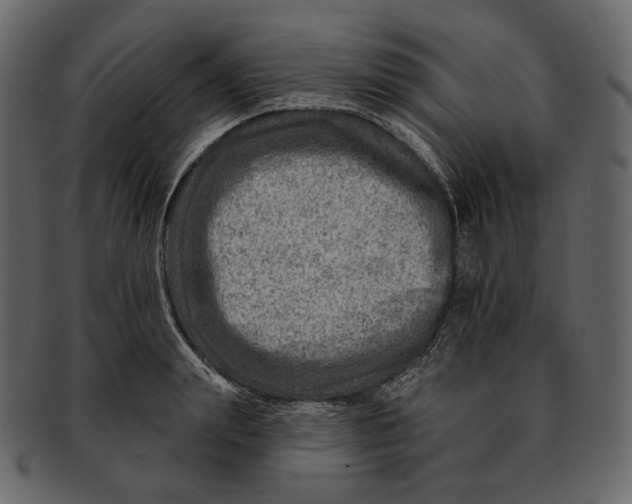 X0000092300847200710051219