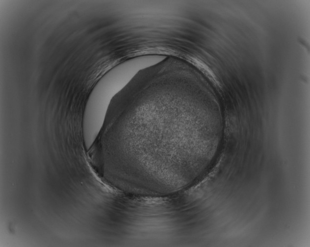 X0000092300849200710051219