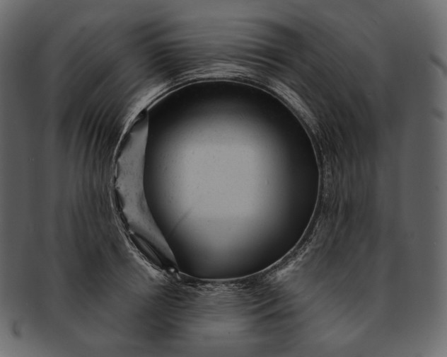 X0000092300850200710051219