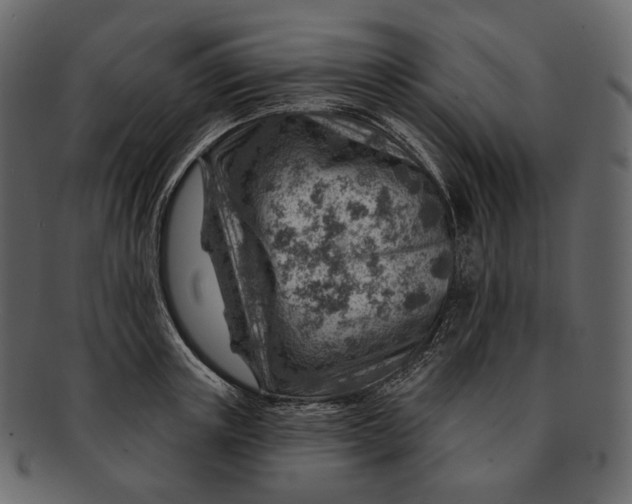 X0000092300851200710051219