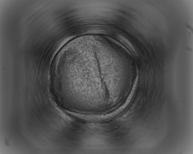 X0000092300852200710051219