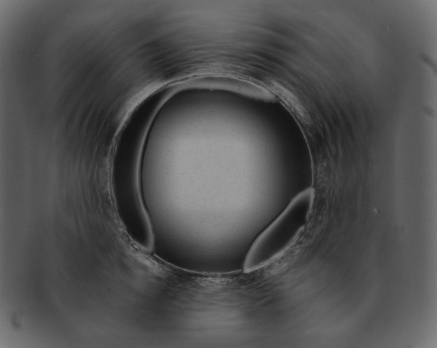 X0000092300854200710051219