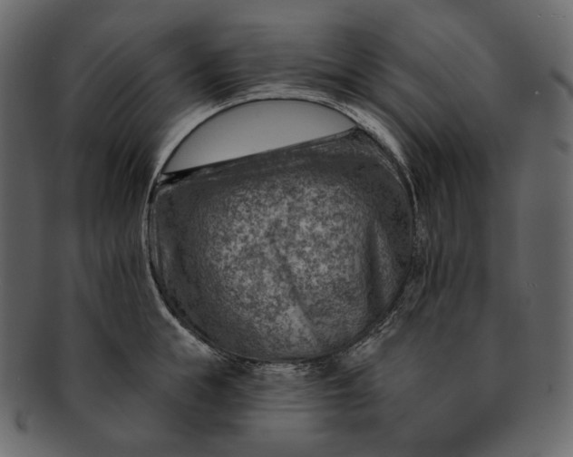 X0000092300855200710051219