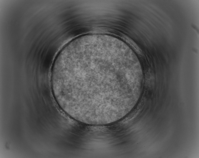 X0000092300856200710051219