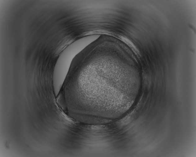 X0000092300857200710051219