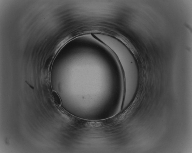 X0000092300858200710051219