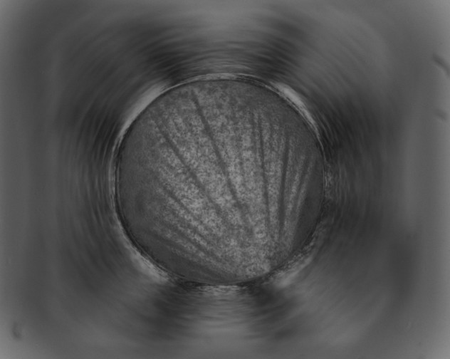 X0000092300859200710051219