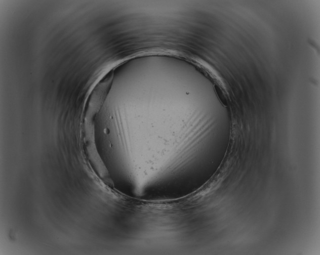 X0000092300860200710051219