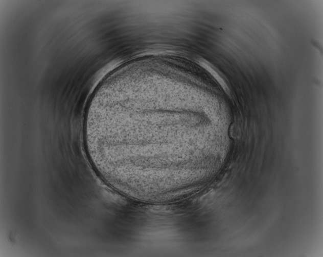 X0000092300861200710051219