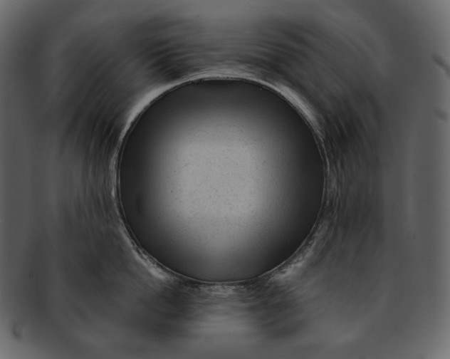 X0000092300862200710051219