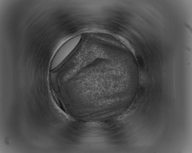 X0000092300863200710051219