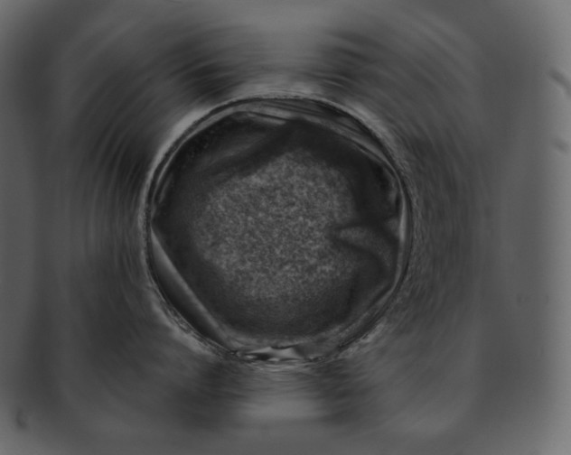 X0000092300864200710051219