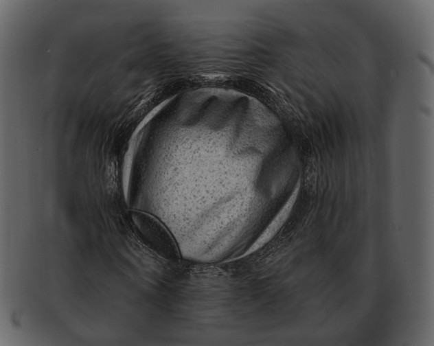 X0000092300866200710051218