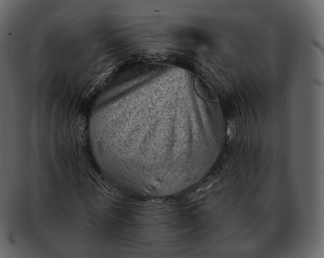 X0000092300867200710051218