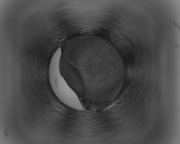 X0000092300868200710051218