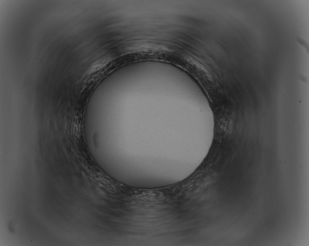 X0000092300869200710051218