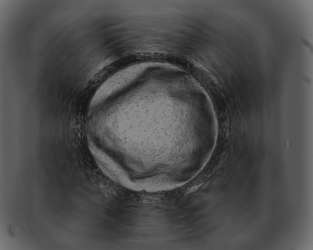 X0000092300870200710051218