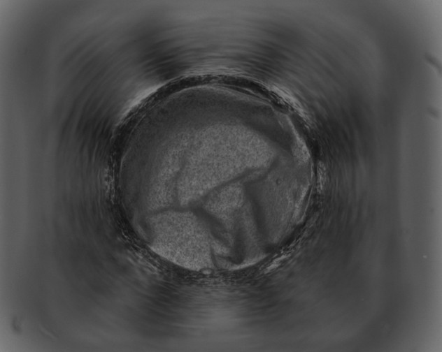 X0000092300872200710051218