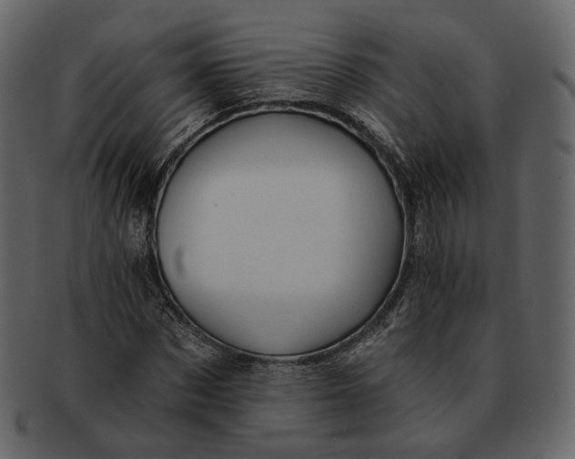 X0000092300873200710051218