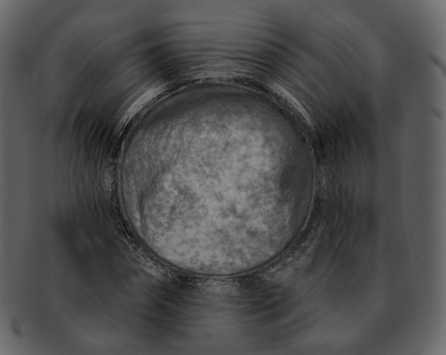 X0000092300874200710051218