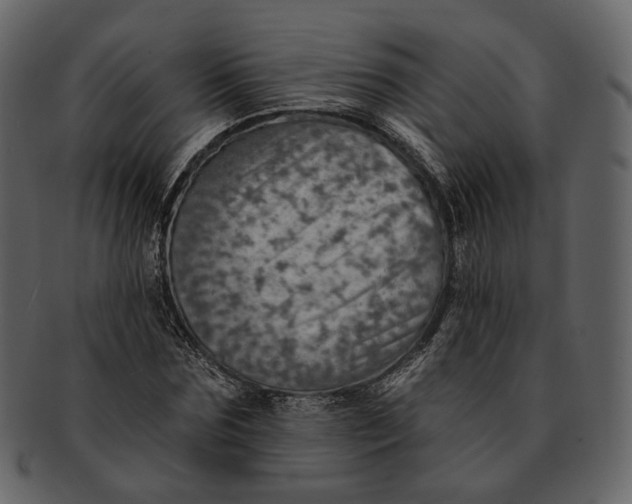 X0000092300875200710051218