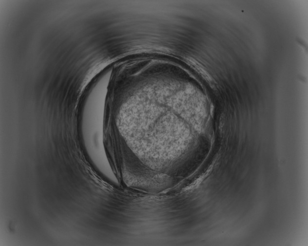 X0000092300877200710051218