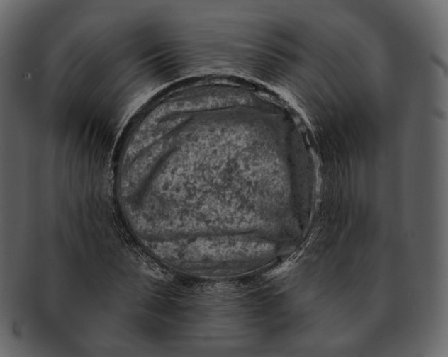 X0000092300879200710051218