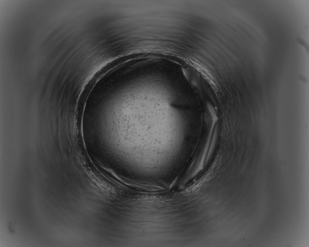 X0000092300880200710051218