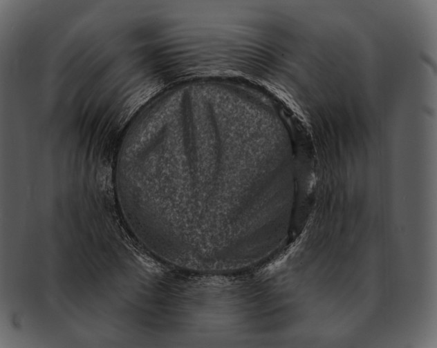 X0000092300881200710051218