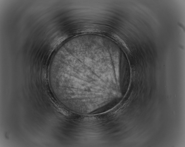 X0000092300882200710051218