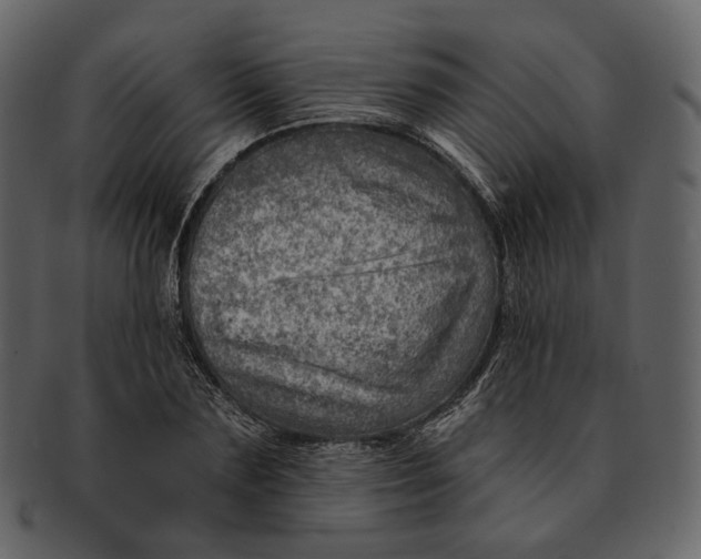 X0000092300883200710051218