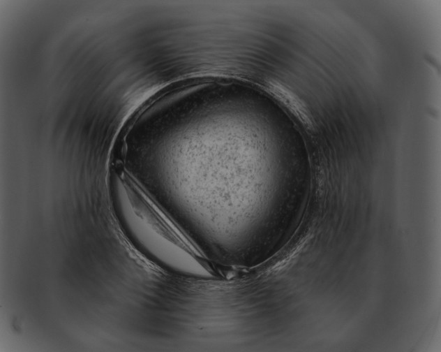 X0000092300884200710051218