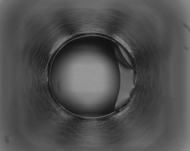 X0000092300885200710051218