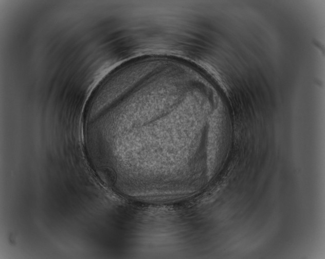 X0000092300887200710051218