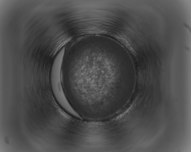 X0000092300889200710051218