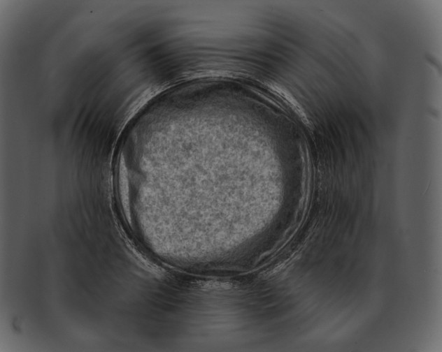 X0000092300890200710051218