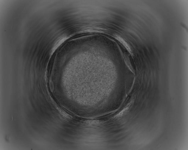 X0000092300893200710051218